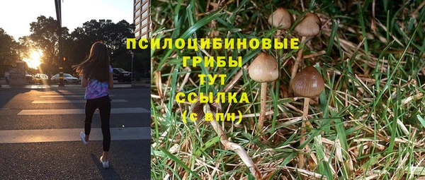 таблы Арсеньев