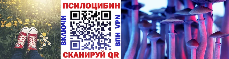 как найти   Белогорск  Псилоцибиновые грибы Cubensis 